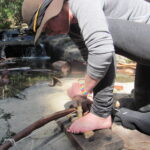 Wild 101: Survival Skills, Bush Crafts and Nature Connection Weekend, 23-25 May 2025